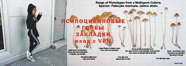 jwh Верхний Тагил