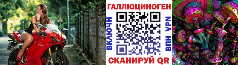Псилоцибиновые грибы прущие грибы  Афипский 
